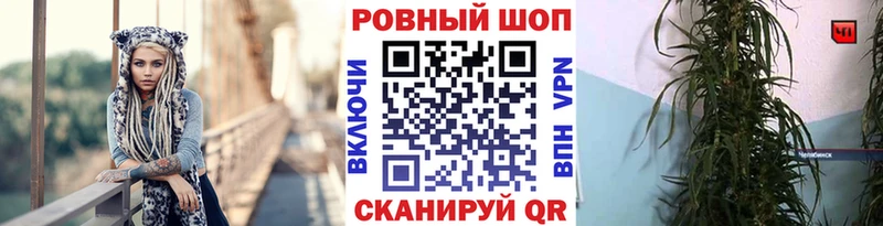 Наркотические вещества Шагонар Канабис Меф APVP Кетамин Гашиш АМФ