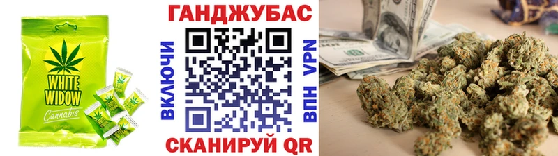 сколько стоит  Шагонар  OMG tor  Печенье с ТГК марихуана 